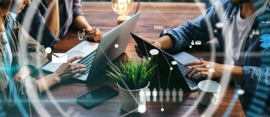 Communication web